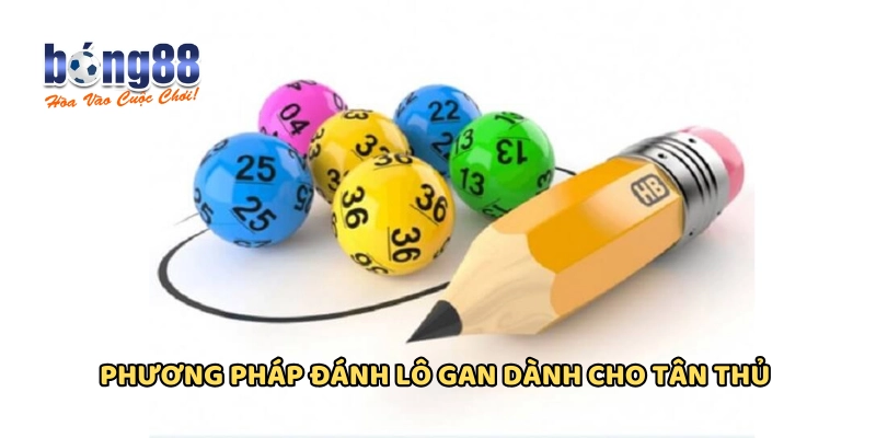 Các phương pháp bắt lô đỉnh cao từ các cao thủ