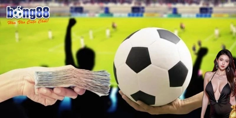 Lưu ý giúp tân thủ chơi cá cược bóng đá hiệu quả