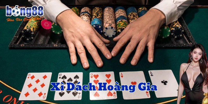 Các thuật ngữ quan trọng trong Xì Dách Hoàng Gia