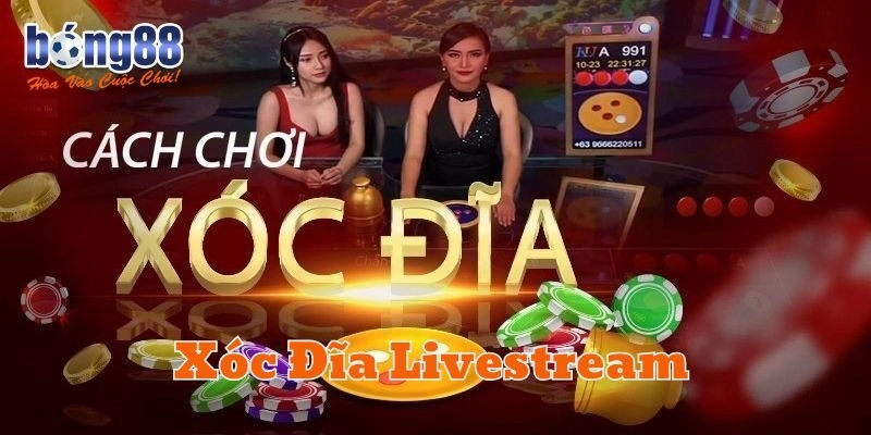 Kinh nghiệm chơi Xóc Đĩa Livestream