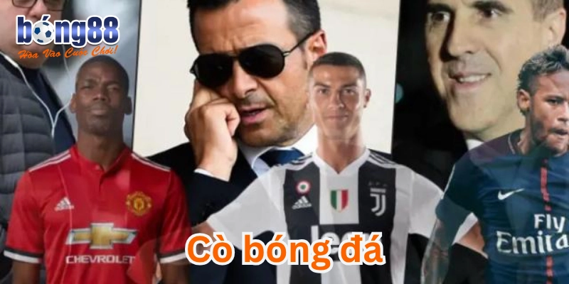 Cò bóng đá là gì - Hé lộ thế giới cá độ ngầm